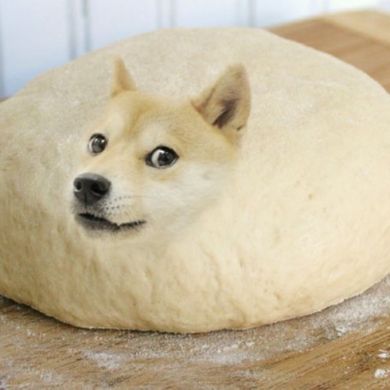 Doge memes