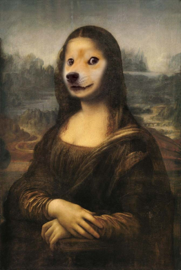 Doge memes