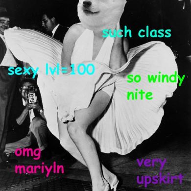 Doge memes
