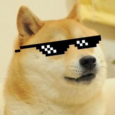 Doge memes