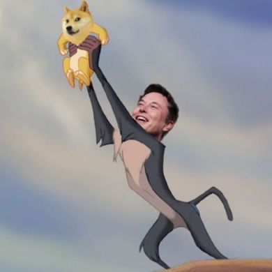 Doge memes
