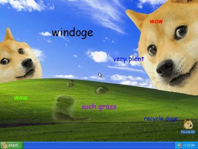 Doge memes