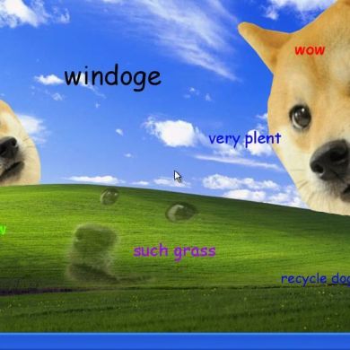 Doge memes