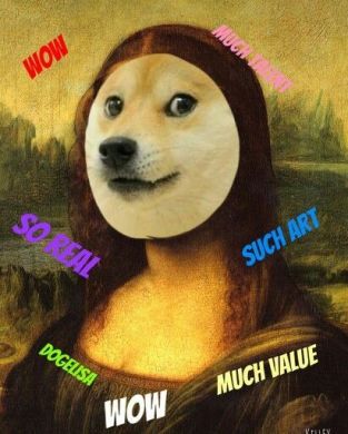 Doge memes