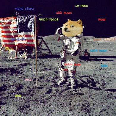 Doge memes