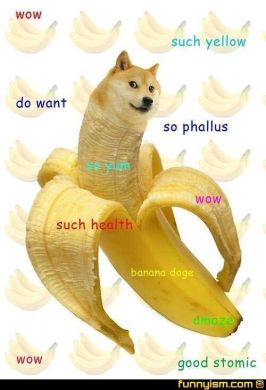 Doge memes