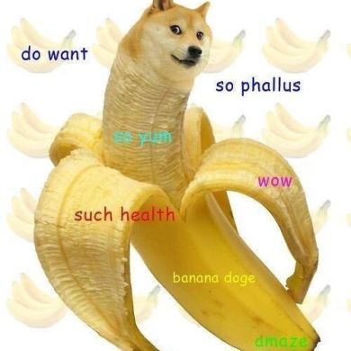Doge memes
