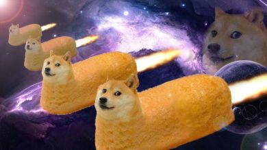 Doge memes