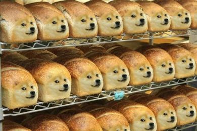 Doge memes
