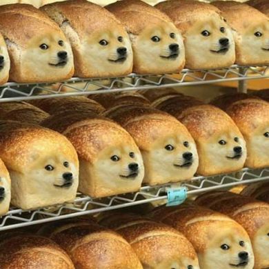 Doge memes