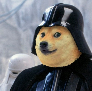 doge-memes-21b