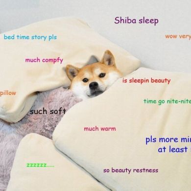 Doge memes