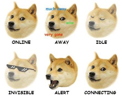 Doge memes