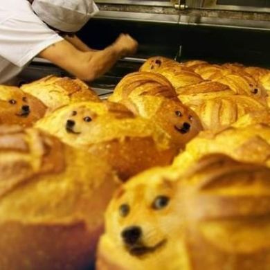Doge memes