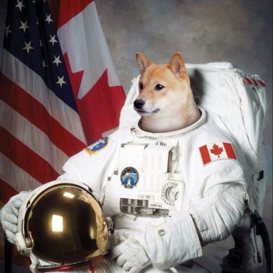 Doge memes