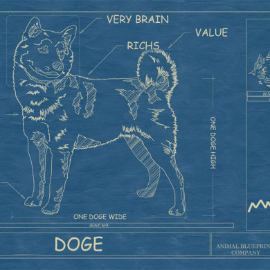 Doge memes