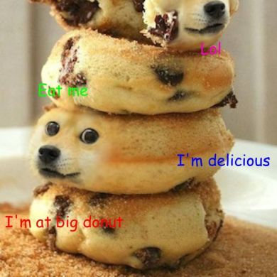 Doge memes