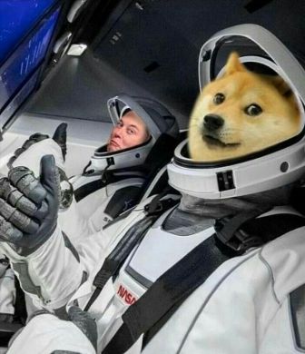 Doge memes