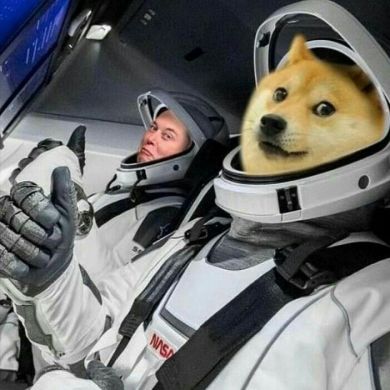 Doge memes