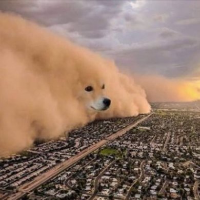 Doge memes