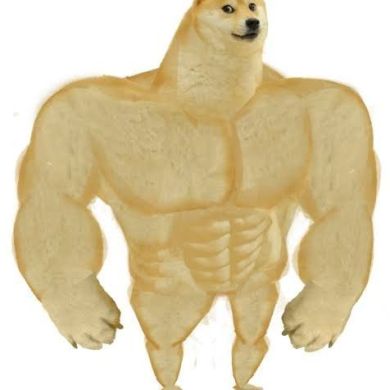 Doge memes