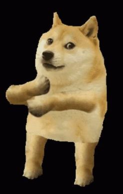 Doge memes