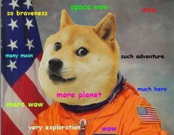 Doge memes