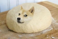 Doge memes
