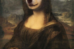 Doge memes