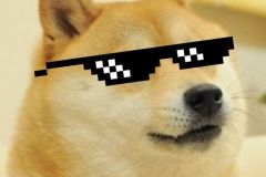 Doge memes