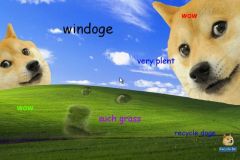 Doge memes