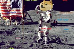 Doge memes