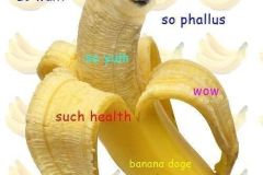 Doge memes