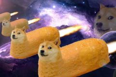 Doge memes