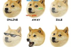 Doge memes