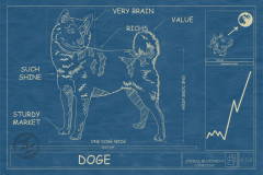 Doge memes