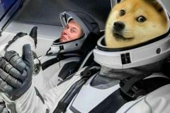 Doge memes