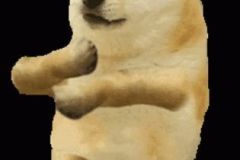 Doge memes