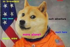 Doge memes