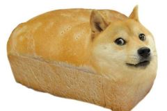 Doge memes