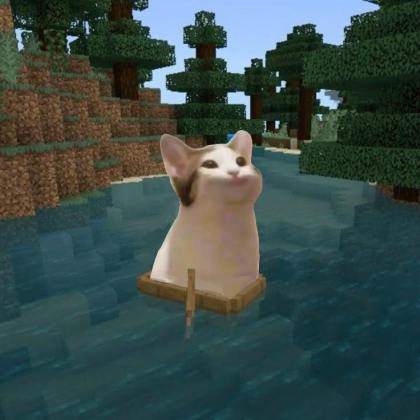 Popcat