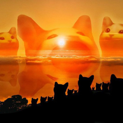 Popcat