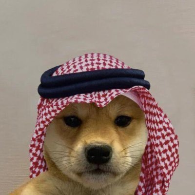 Dog Wif Hat
