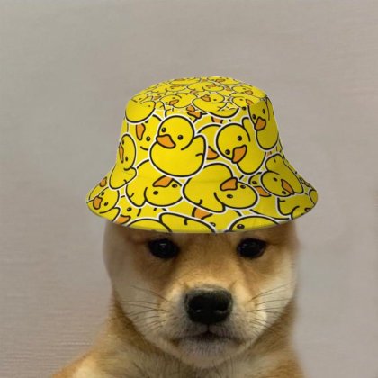 Dog Wif Hat