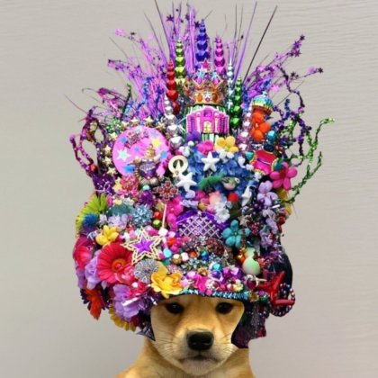 Dog Wif Hat