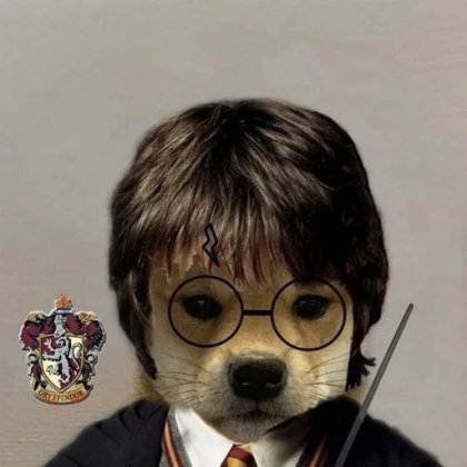 Dog Wif Hat