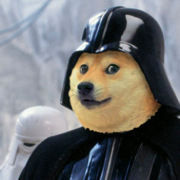 Doge